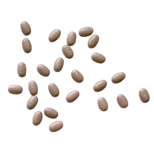 MGN-3 Tablets